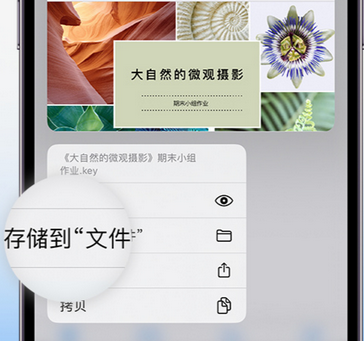 墨竹工卡apple维修中心分享iPhone文件应用中存储和找到下载文件