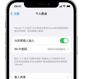 墨竹工卡apple服务站点分享iPhone上个人热点丢失了怎么办 