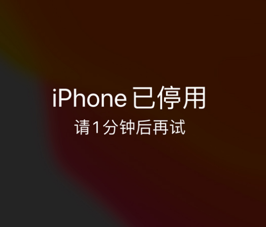 墨竹工卡苹果手机维修分享:iPhone 显示“不可用”或“已停用”怎么办？还能保留数据吗？ 