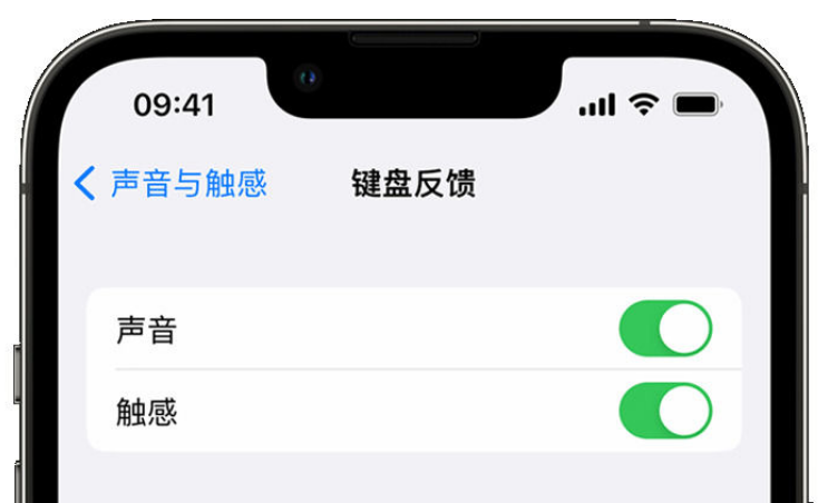 墨竹工卡苹果手机维修分享iPhone 14触感键盘使用方法 