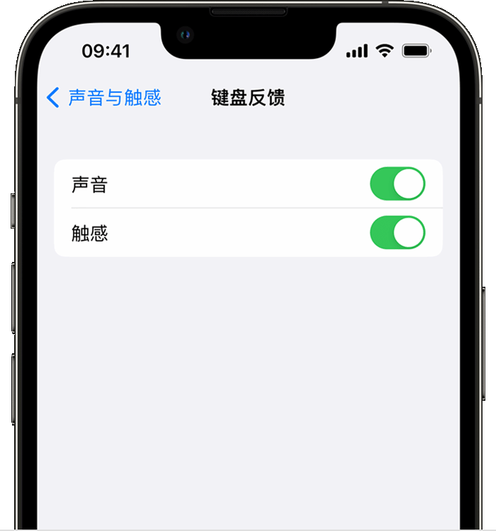 墨竹工卡苹果14维修店分享如何在 iPhone 14 机型中使用触感键盘 