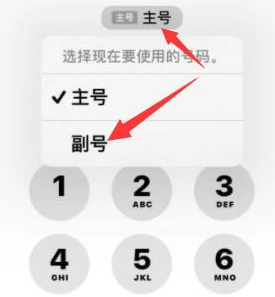 墨竹工卡苹果14维修店分享iPhone 14 Pro Max使用副卡打电话的方法 