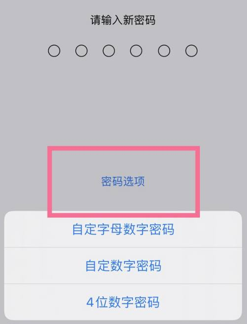 墨竹工卡苹果14维修分享iPhone 14plus设置密码的方法 