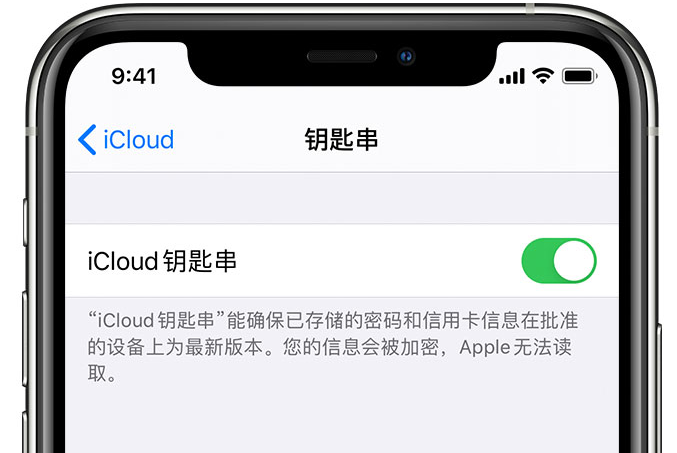 墨竹工卡苹果手机维修分享在 iPhone 上开启 iCloud 钥匙串之后会储存哪些信息 