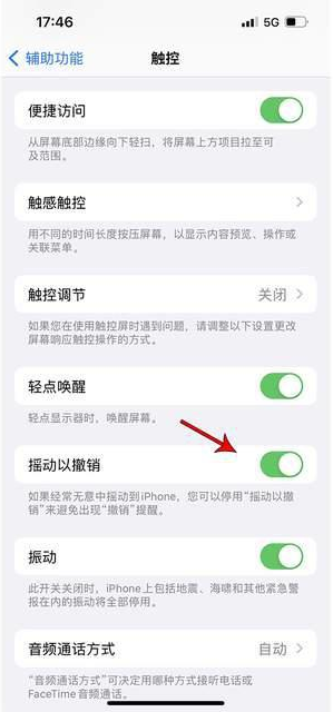 墨竹工卡苹果手机维修分享iPhone手机如何设置摇一摇删除文字 