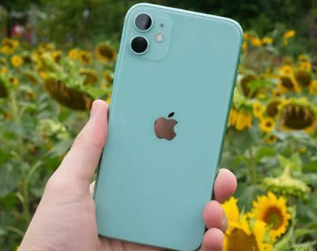 墨竹工卡苹果维修点分享iPhone 11锁屏密码认知与使用科普 